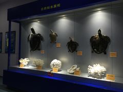 -福州罗源湾海洋世界旅游区