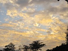 -深圳湾公园(南山区)
