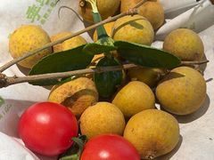 -季季山·云南野生菌火锅(上海首店)
