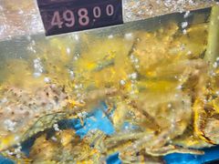 鲜活帝王蟹-蟹之国·精品蟹料理(极地店)
