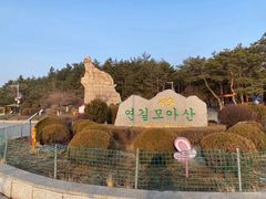 -帽儿山国家森林公园