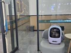 -贝利宠物医院·骨科·眼科·肿瘤转诊中心(南坪诊疗中心)