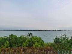 -江滩湿地公园