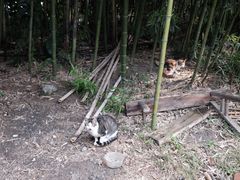 -小河无名面馆