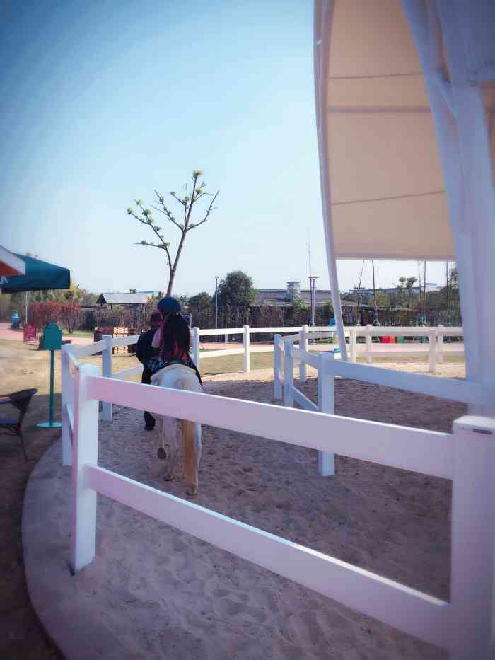 伊酷拉精灵农庄-"我们是自驾游过去的很方便寻找,在常州比.