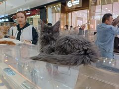 -万达广场(北京槐房店)