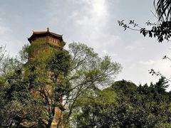 -房湖公园