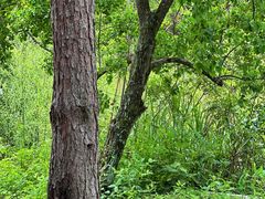 -仙店农庄(湖景农庄餐厅)