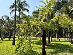 -中国科学院西双版纳热带植物园