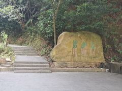 -东莞市大岭山森林公园
