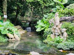-广州市白云山风景名胜区