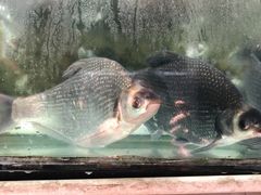 -湾里人家(旺山景区店)