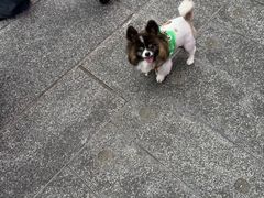 -海港城