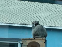 -青藏高原野生动物园