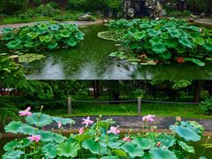 -国家植物园南园