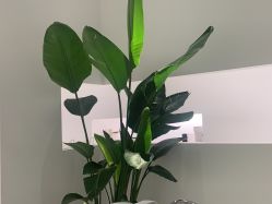 -微笑雨嘉造型护肤