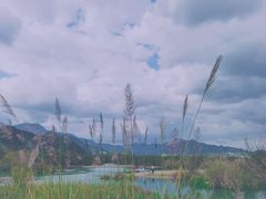 -楠溪江风景名胜区