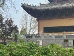 -洛阳白马寺