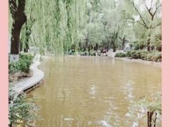 -西安市长乐公园