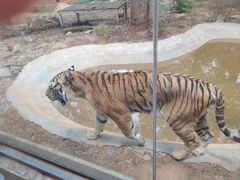 -昆明动物园