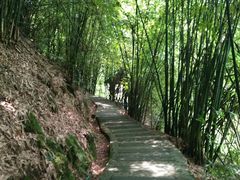 -沐川竹海旅游景区