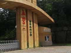 -五营红松林海景区