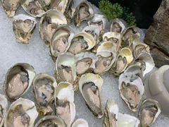 -河内西湖莲花自助餐厅