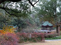 -申粤轩酒楼·三十年粤菜经典(丁香花园店)