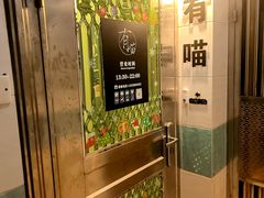 -有喵·猫咖·狗咖·30几只猫10只小狗(岗厦店)