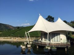 安吉帐篷客度假酒店-帐篷客·溪龙茶谷度假酒店