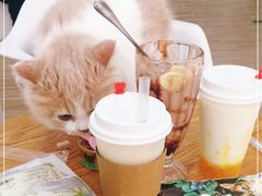 -李小姐の猫咖啡馆(五角场店)