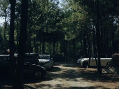 -重庆睡佛山森林公园