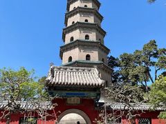 -晋祠公园