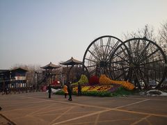 -呀路古热带植物园
