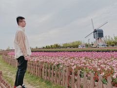 -荷兰花海