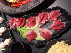 -莽子老火锅(大坪店)