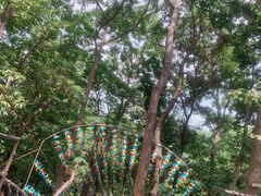 -沂蒙山旅游区云蒙景区(蒙山国家森林公园)