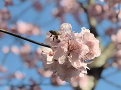 -木塔寺遗址生态公园
