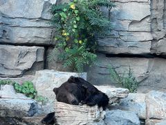 -北京野生动物园