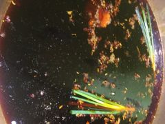 -符淼淼火锅(宽窄巷子店)