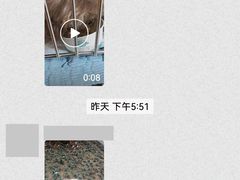 -谐和贝康宠物医院24小时·宠保定点(急重症转诊中心)