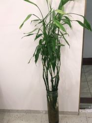 -苗方清颜·祛痘皮肤管理