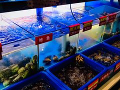 -小龍鳳·港式海鲜打边炉(沙湖路店)