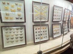 -陕西自然博物馆