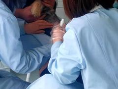 -汪喵宠物医院·骨科心脏影像·犬猫急重症ICU诊疗中心(成华分院)