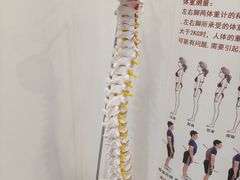 -脊地脊柱·运动康复·体态(汇海店)