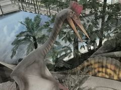 -湖南省地质博物馆