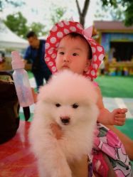 -萌宠亲子动物乐园(槐房万达店)