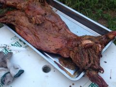 iphone_upload_pic-古韵山庄