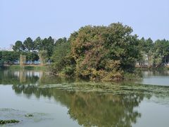 -艾溪湖湿地公园
